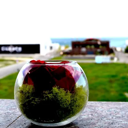Summerland Sea & Lake Mamaia Exterior photo